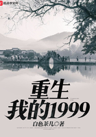 重生我的1999