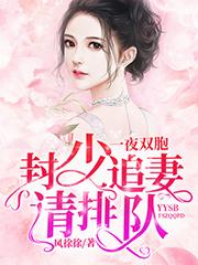 一夜双胞:封少追妻请排队